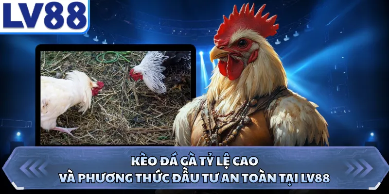 Kèo Đá Gà Tỷ Lệ Cao Và Phương Thức Đầu Tư An Toàn Tại LV88